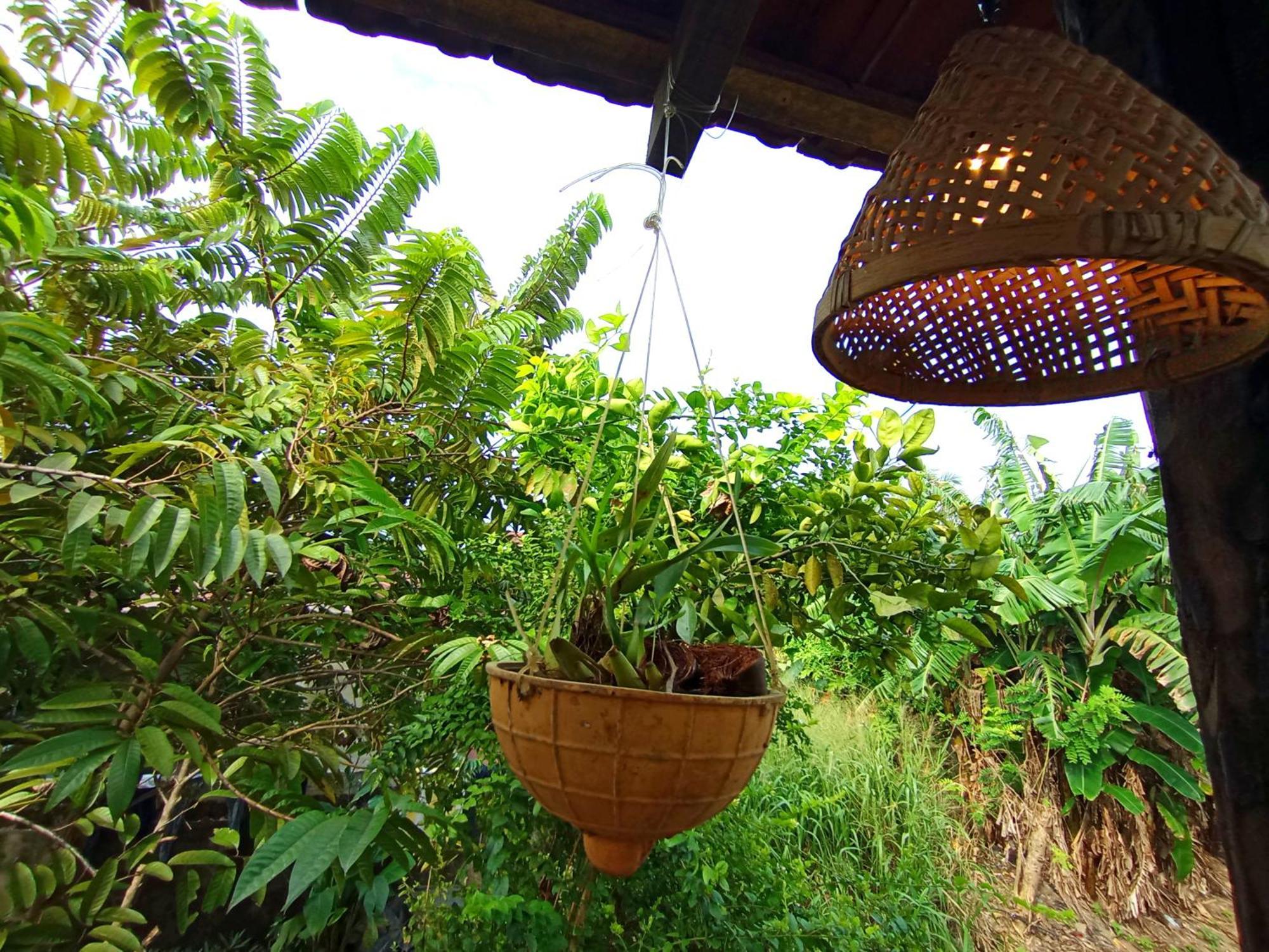 הוילה מיריסה Parrot Tree House מראה חיצוני תמונה